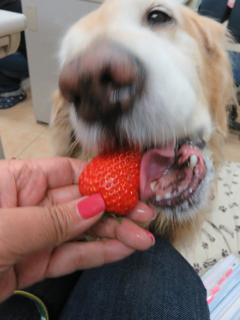 ファイル 5518-3.jpg