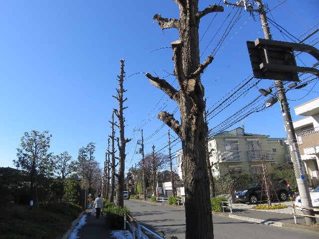 ファイル 5519-2.jpg