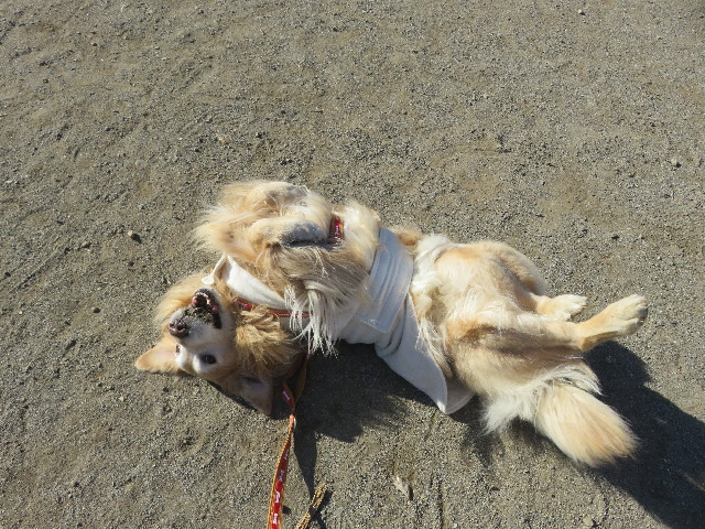 ファイル 5519-3.jpg