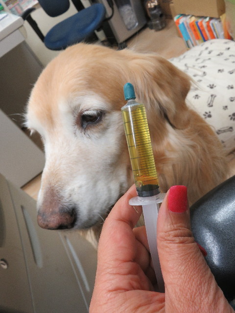 ファイル 5519-5.jpg