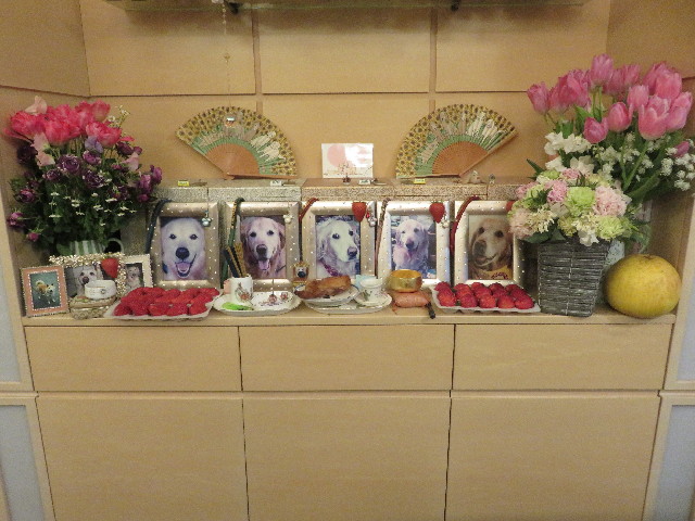 ファイル 5520-3.jpg