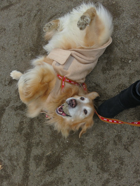 ファイル 5520-4.jpg