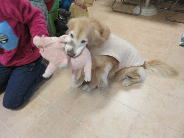 ファイル 5520-5.jpg