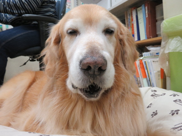 ファイル 5521-2.jpg