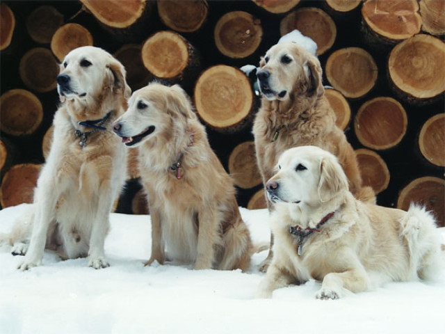 ファイル 5522-5.jpg