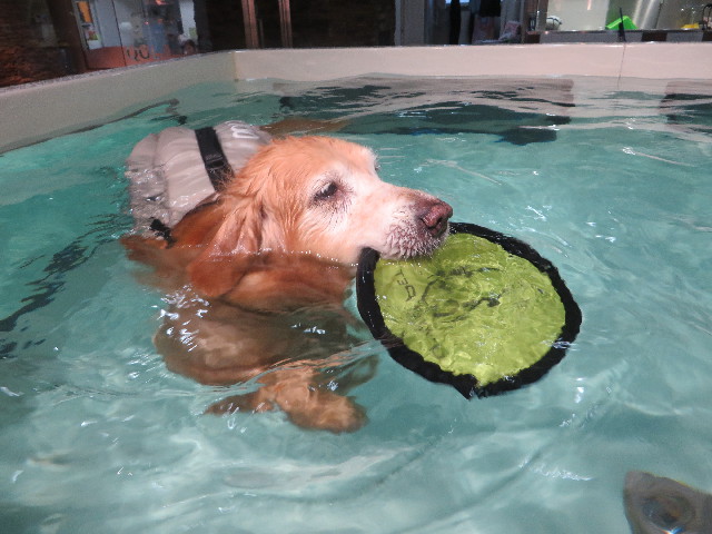 ファイル 5523-4.jpg