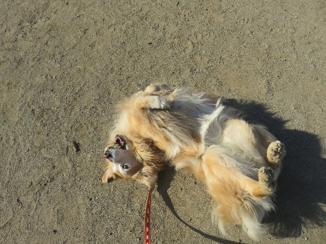 ファイル 5527-2.jpg