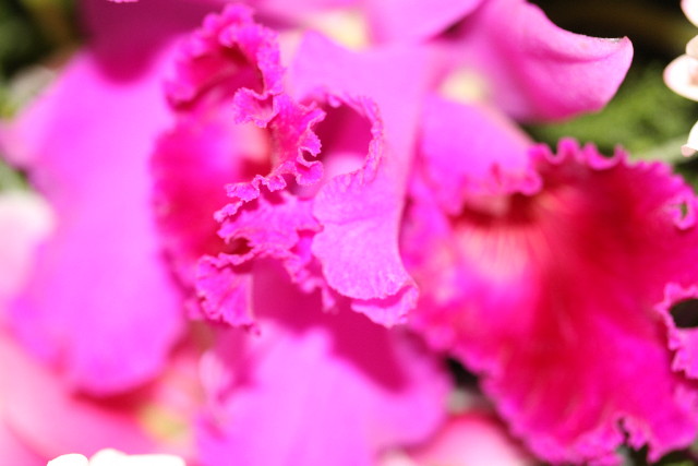 ファイル 553-4.jpg