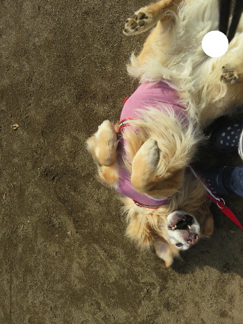 ファイル 5530-4.jpg