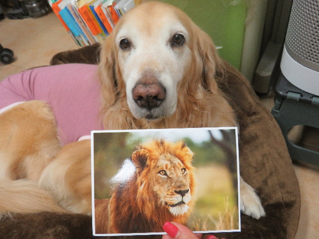 ファイル 5531-1.jpg