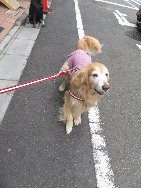 ファイル 5531-3.jpg