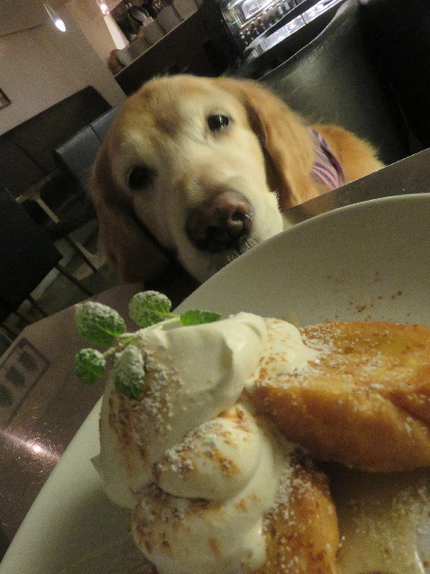 ファイル 5533-5.jpg