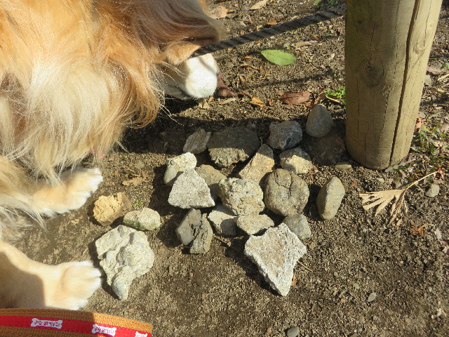 ファイル 5535-2.jpg