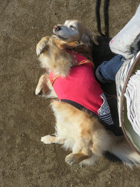 ファイル 5535-3.jpg