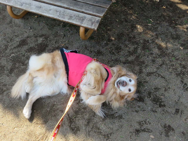 ファイル 5535-4.jpg