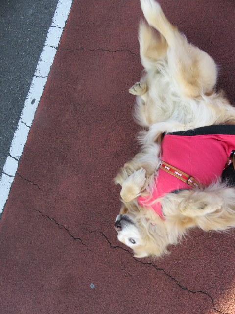 ファイル 5535-5.jpg