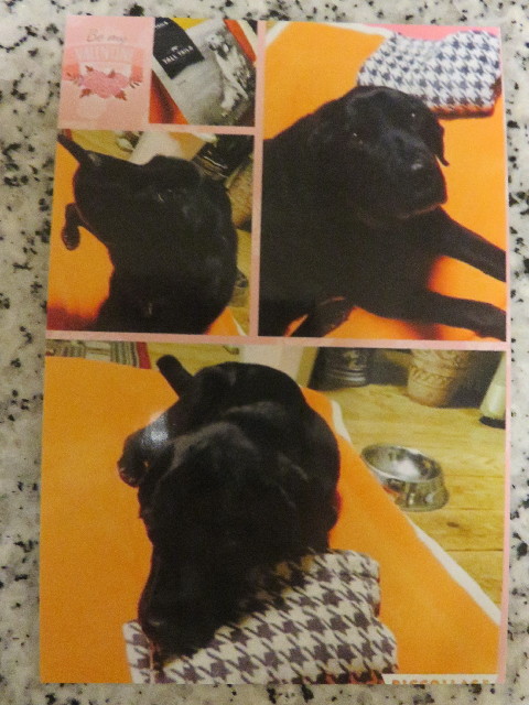 ファイル 5536-5.jpg