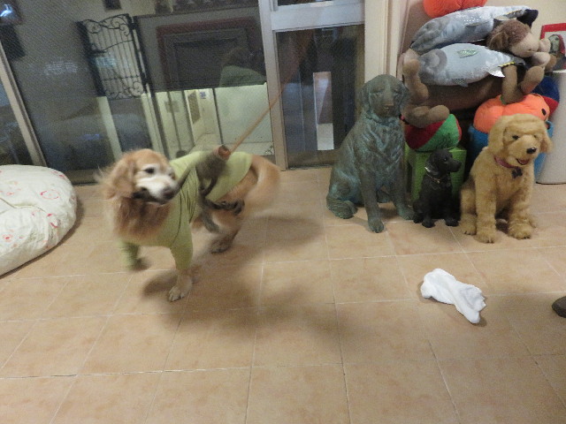 ファイル 5537-5.jpg