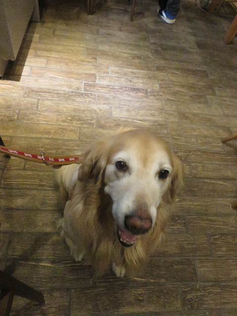 ファイル 5539-1.jpg