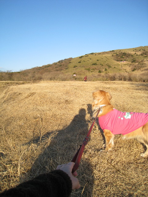 ファイル 554-5.jpg