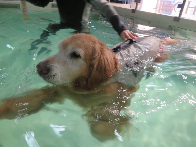 ファイル 5540-3.jpg