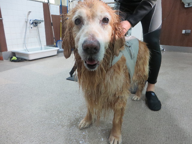 ファイル 5540-5.jpg