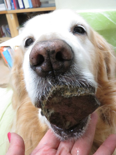 ファイル 5541-2.jpg