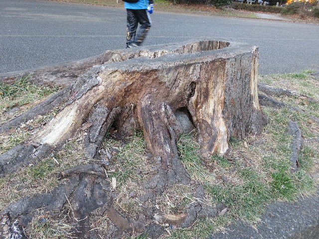 ファイル 5541-5.jpg