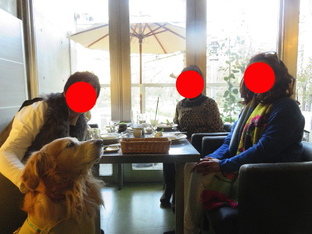 ファイル 5542-4.jpg