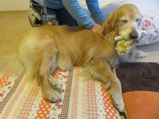 ファイル 5543-3.jpg