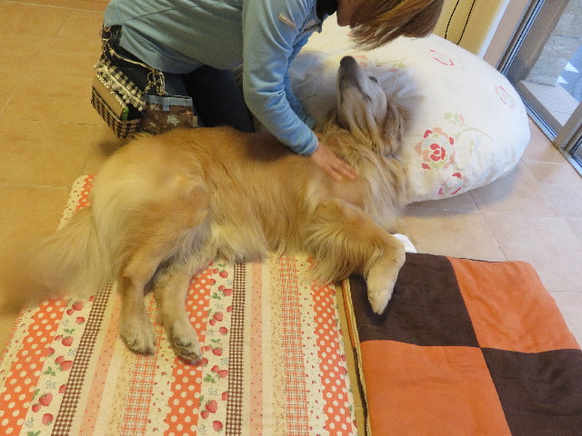 ファイル 5543-4.jpg