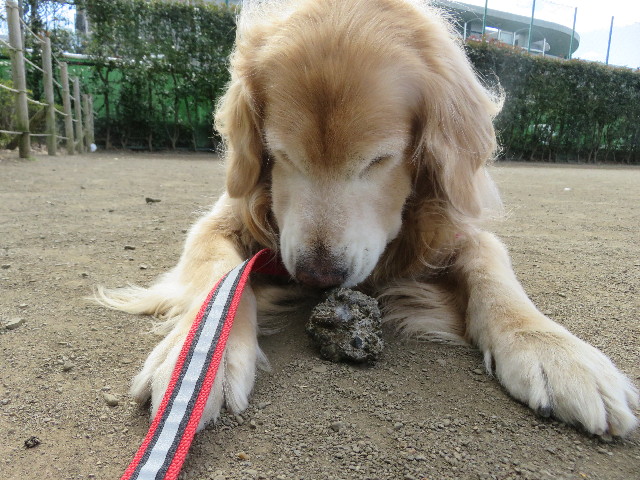 ファイル 5544-2.jpg