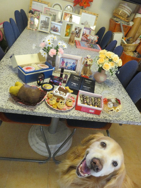 ファイル 5547-2.jpg