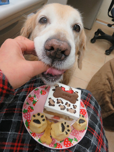 ファイル 5547-3.jpg