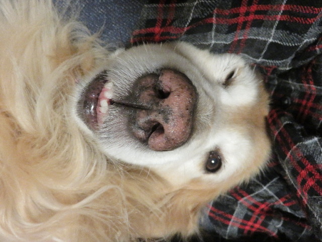 ファイル 5547-5.jpg