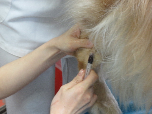 ファイル 5548-1.jpg