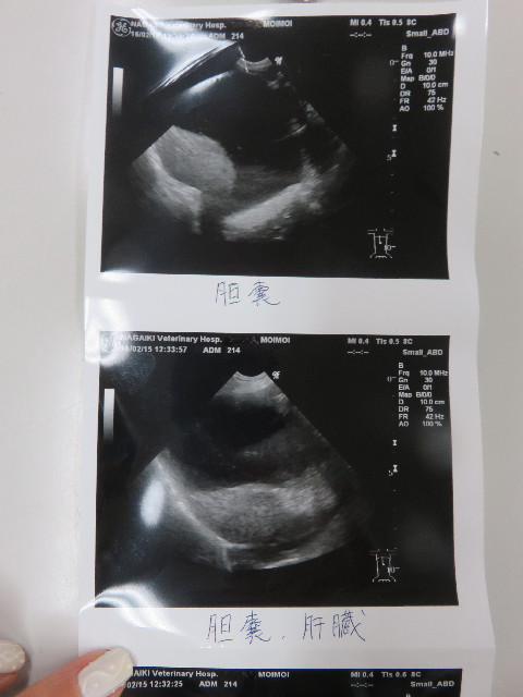 ファイル 5548-4.jpg