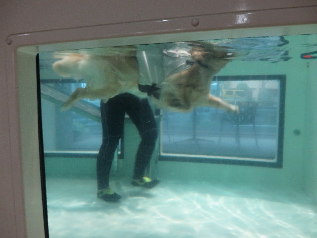 ファイル 5549-3.jpg