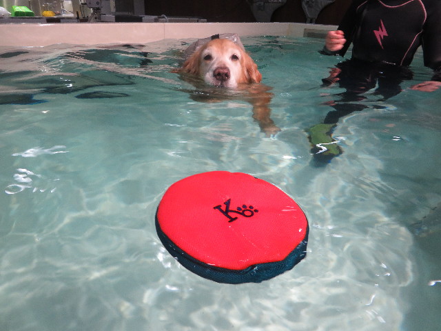 ファイル 5549-4.jpg