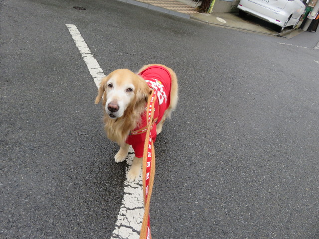 ファイル 5552-1.jpg