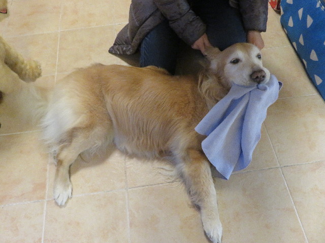 ファイル 5552-5.jpg