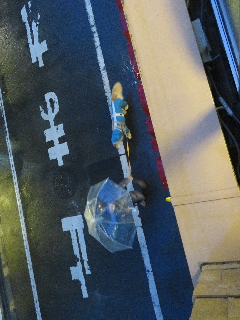 ファイル 5553-1.jpg