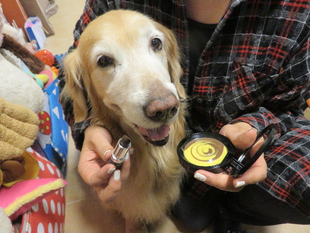 ファイル 5553-5.jpg