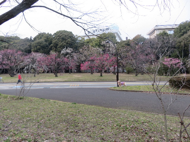 ファイル 5557-1.jpg