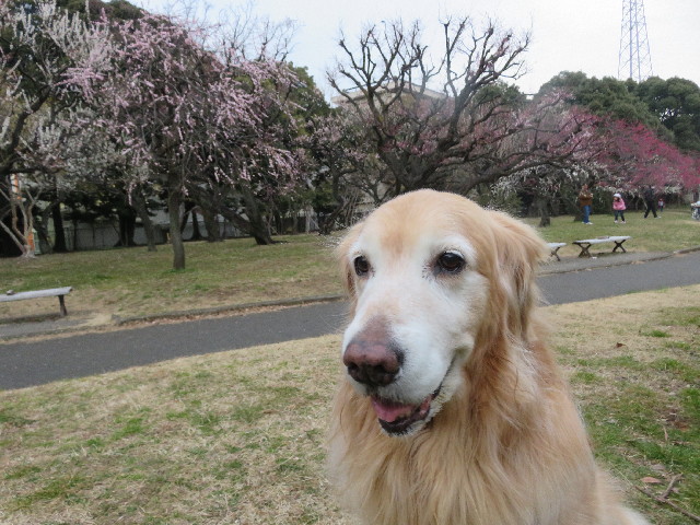 ファイル 5557-5.jpg