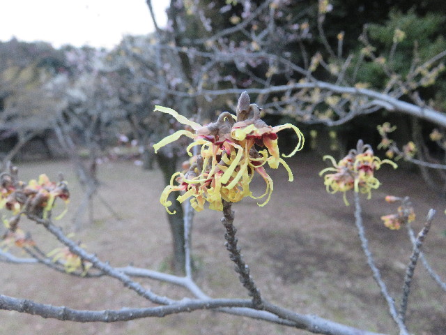 ファイル 5558-2.jpg