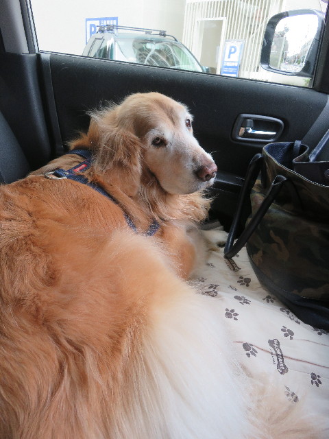 ファイル 5559-1.jpg