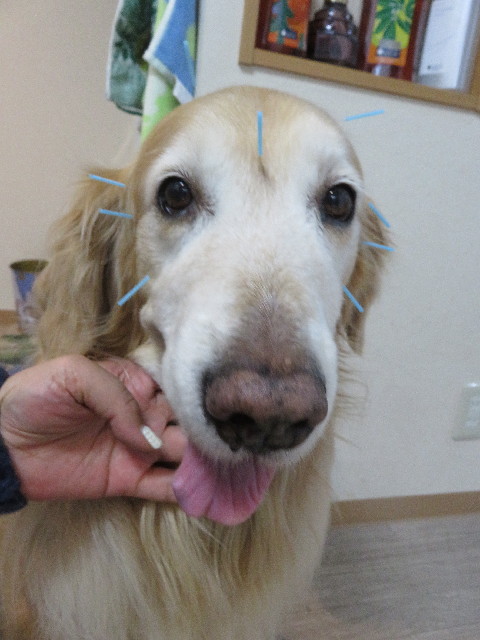 ファイル 5559-3.jpg