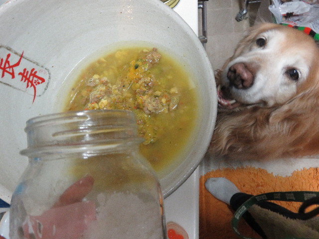 ファイル 5559-4.jpg