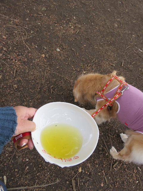 ファイル 5560-2.jpg